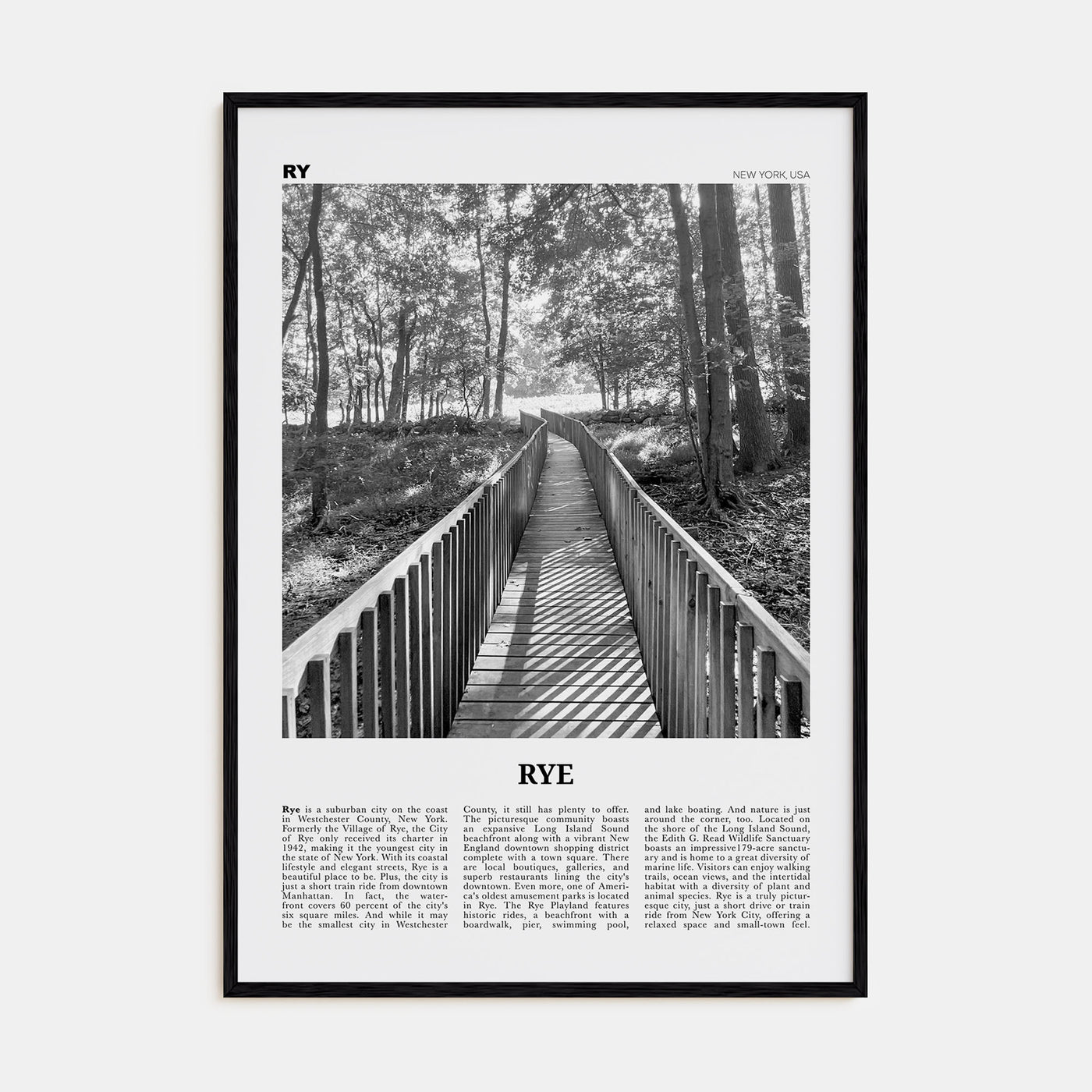 Rye Travel B&W Poster