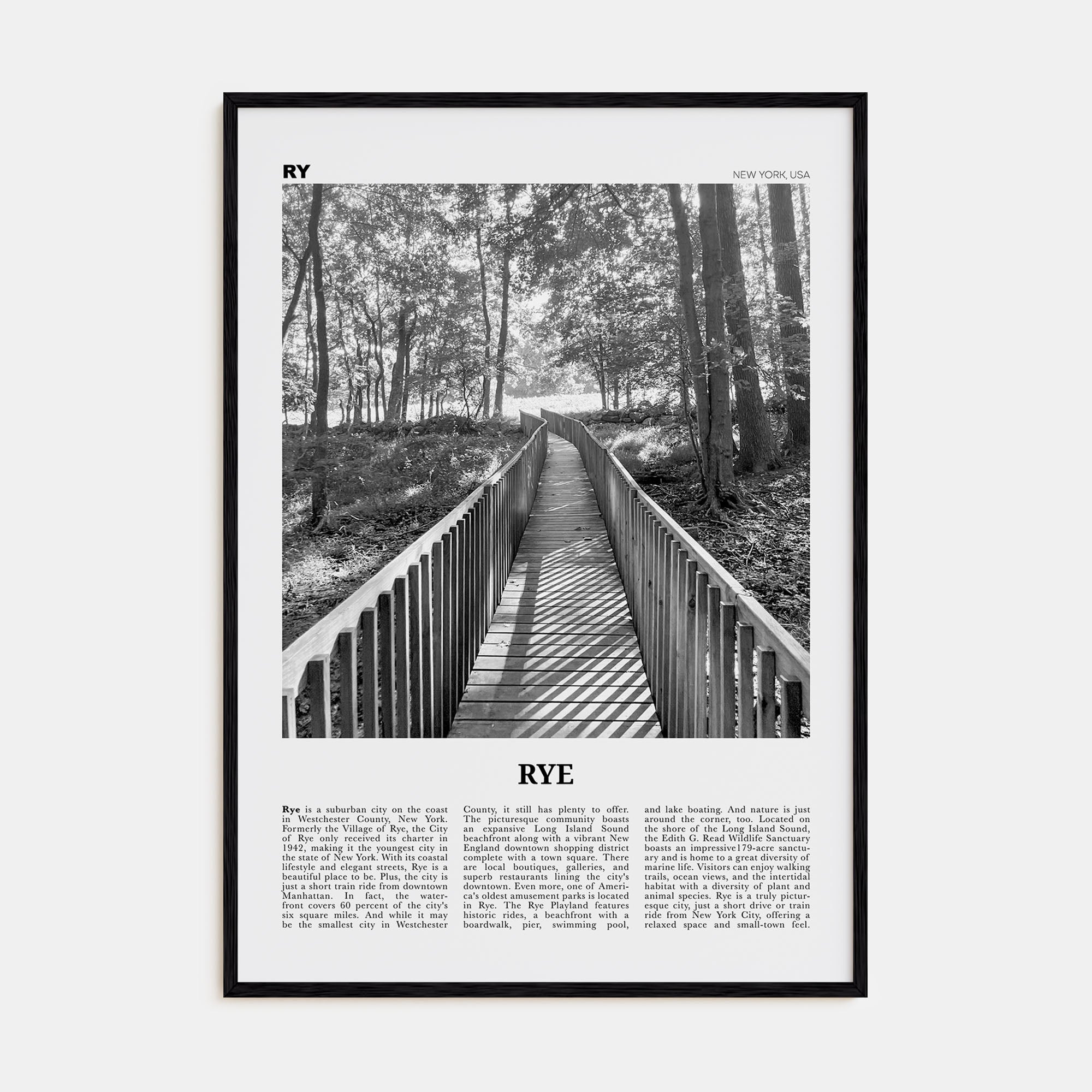 Rye Travel B&W Poster