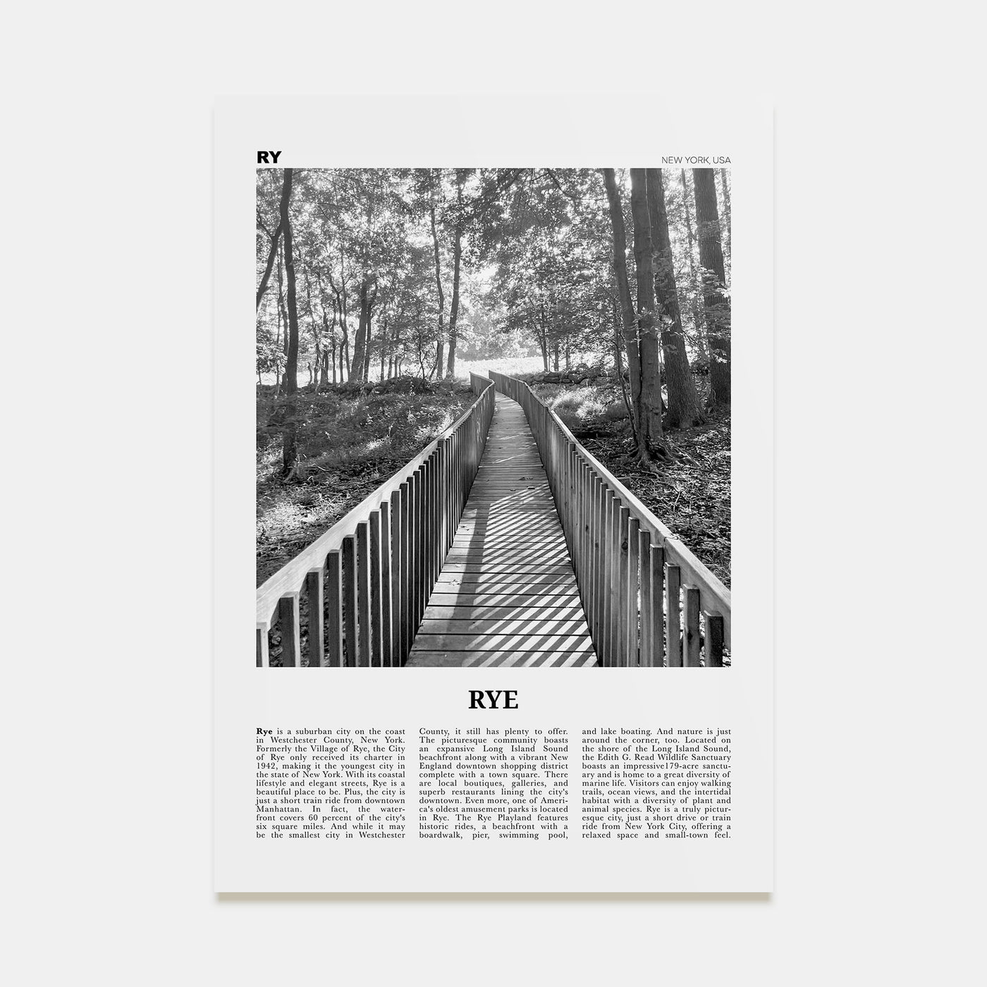 Rye Travel B&W Poster