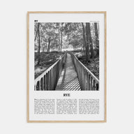 Rye Travel B&W Poster
