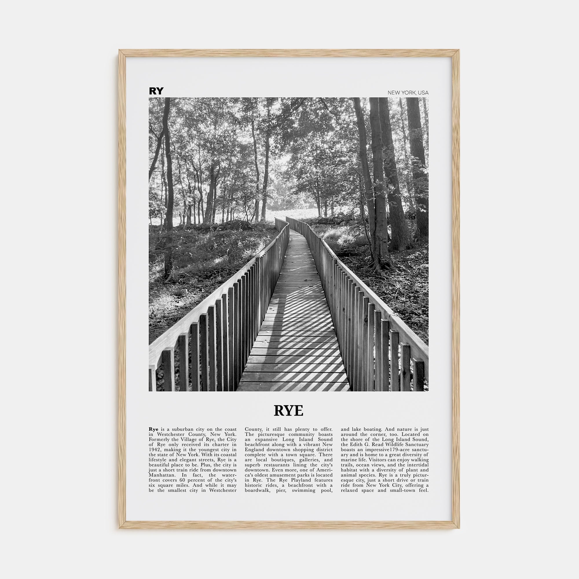 Rye Travel B&W Poster