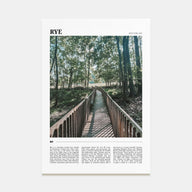 Rye Travel Color Poster