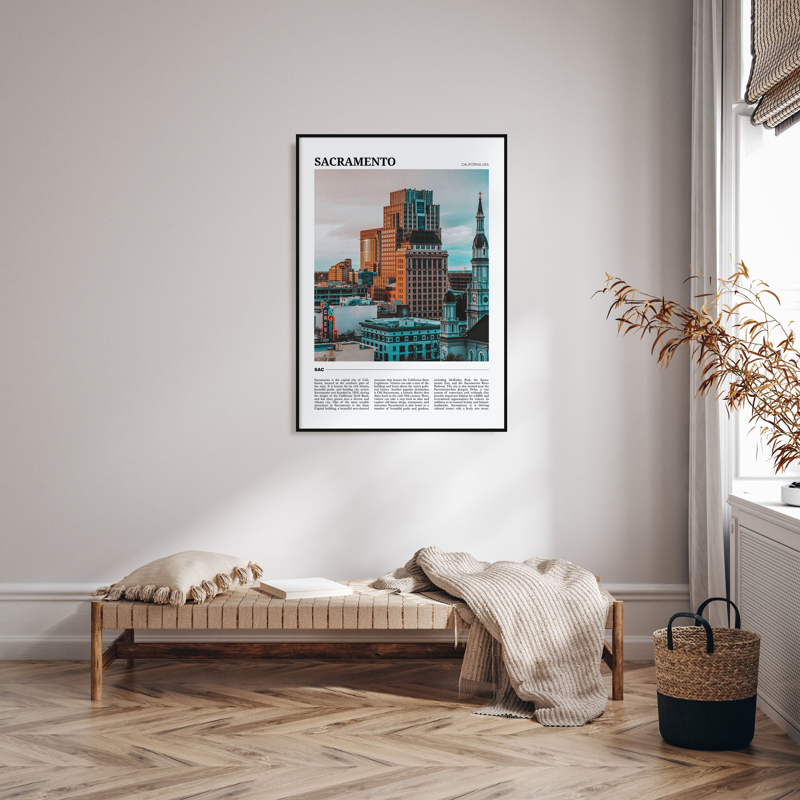 Sacramento Travel Color Poster