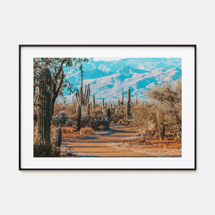Saguaro National Park Landscape Color Poster