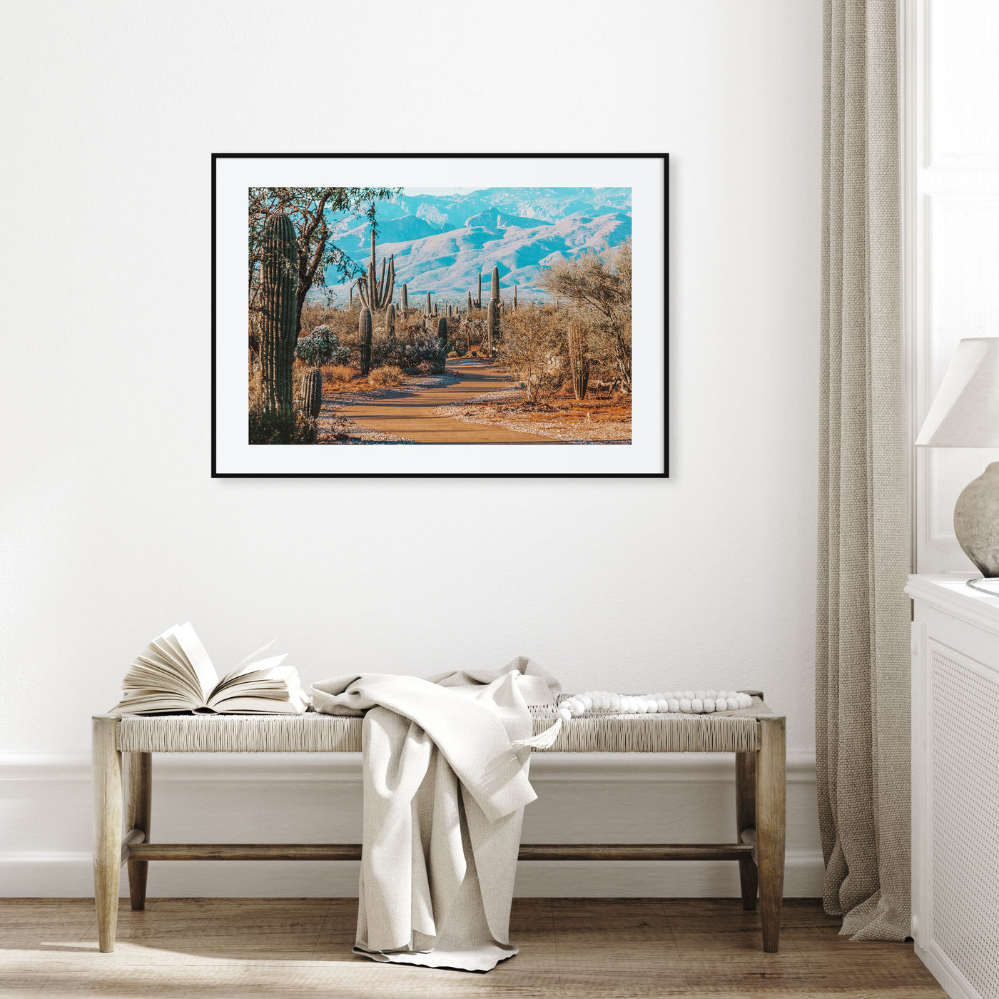 Saguaro National Park Landscape Color Poster