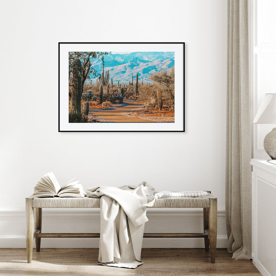 Saguaro National Park Landscape Color Poster