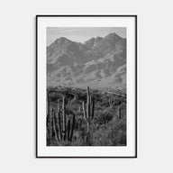 Saguaro National Park Photo B&W No 1 Poster