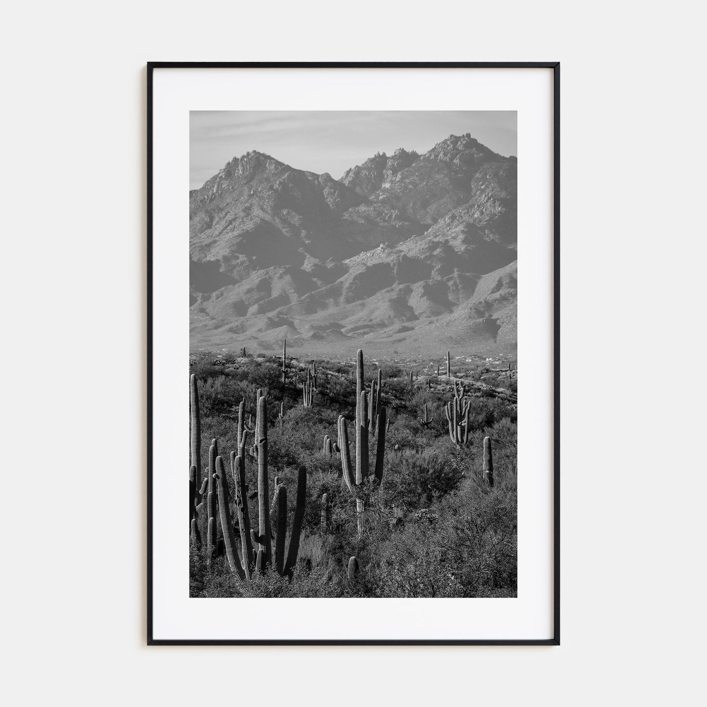 Saguaro National Park Photo B&W No 1 Poster