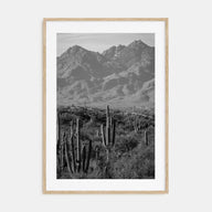 Saguaro National Park Photo B&W No 1 Poster