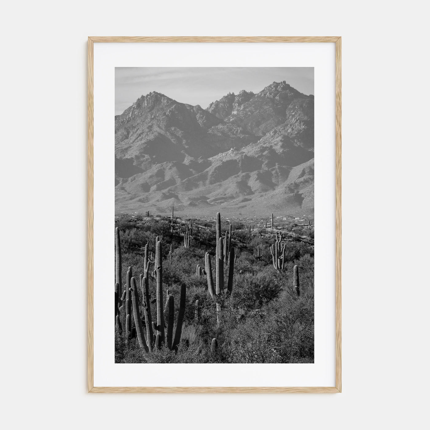 Saguaro National Park Photo B&W No 1 Poster
