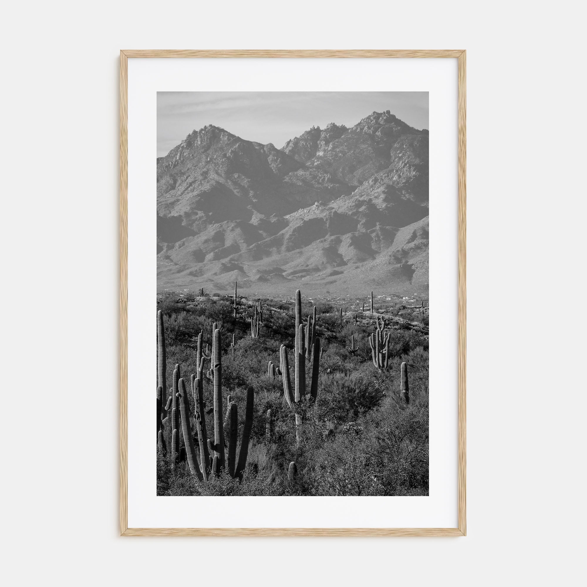 Saguaro National Park Photo B&W No 1 Poster
