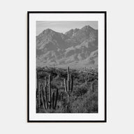 Saguaro National Park Photo B&W No 1 Poster