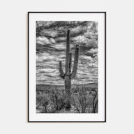Saguaro National Park Photo B&W No 2 Poster