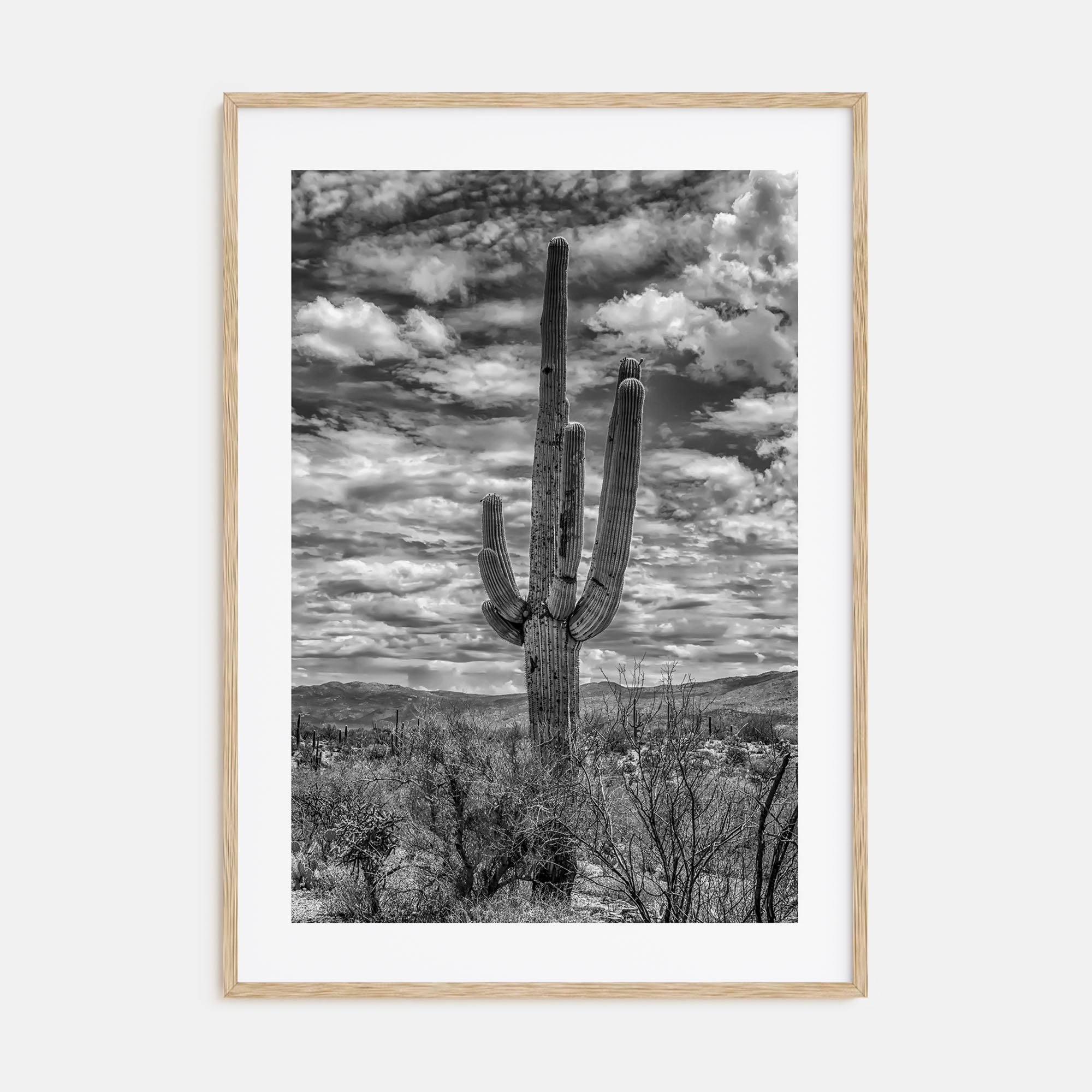 Saguaro National Park Photo B&W No 2 Poster