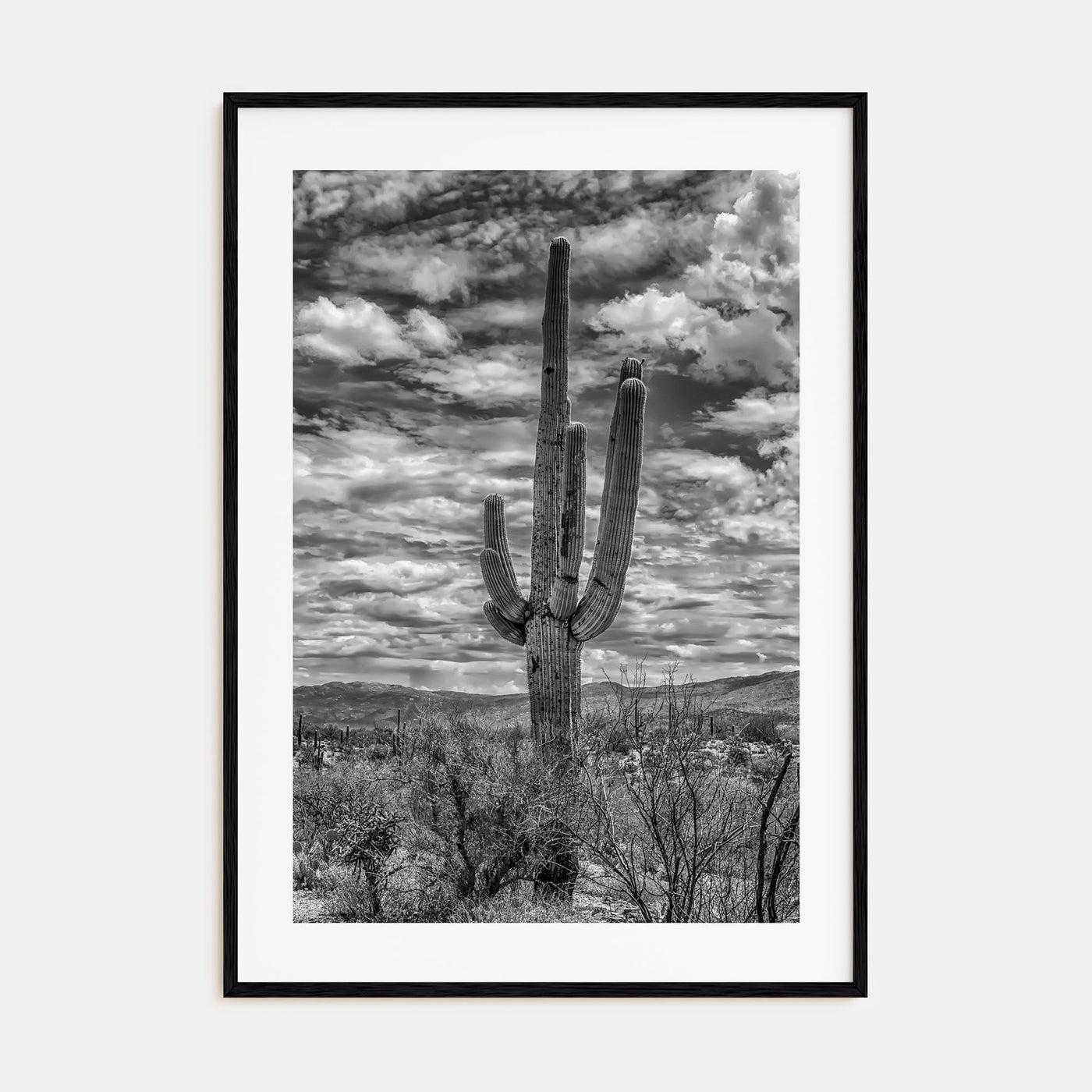 Saguaro National Park Photo B&W No 2 Poster