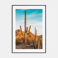 Saguaro National Park Photo Color No 1 Poster