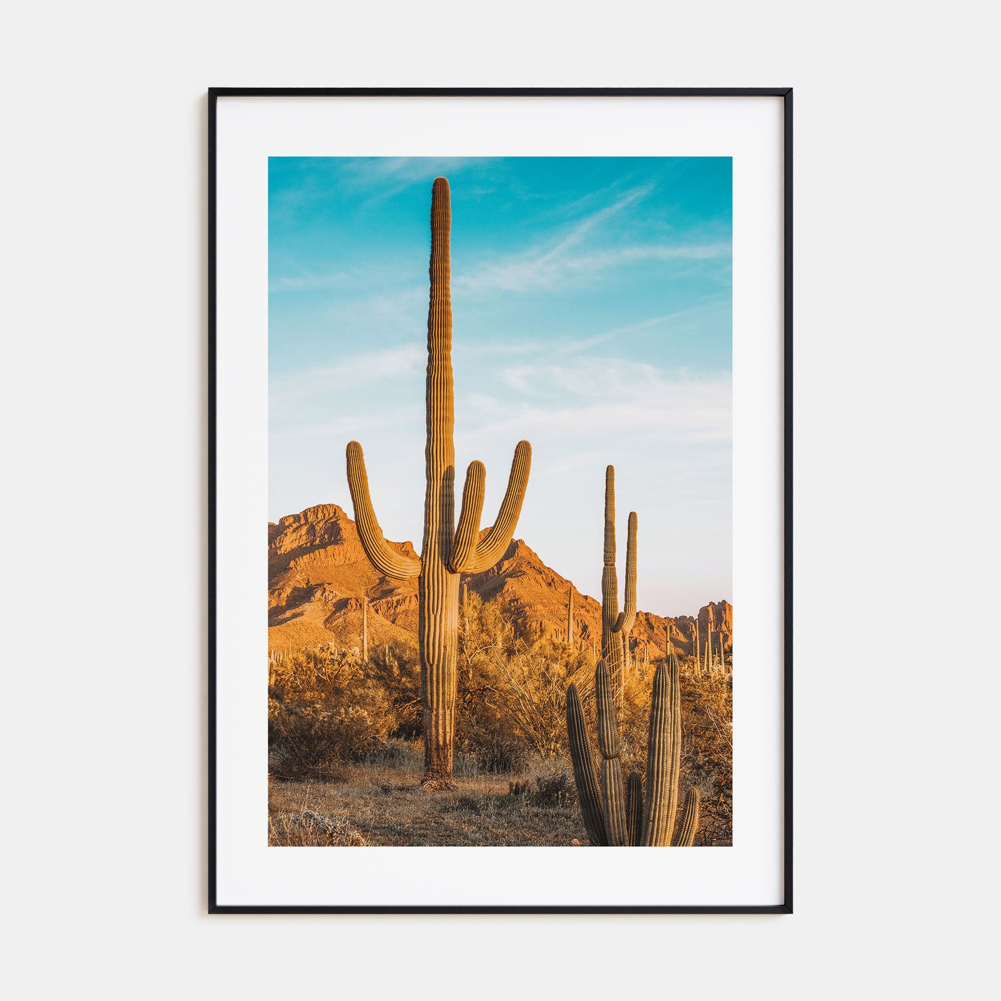 Saguaro National Park Photo Color No 1 Poster