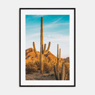 Saguaro National Park Photo Color No 1 Poster