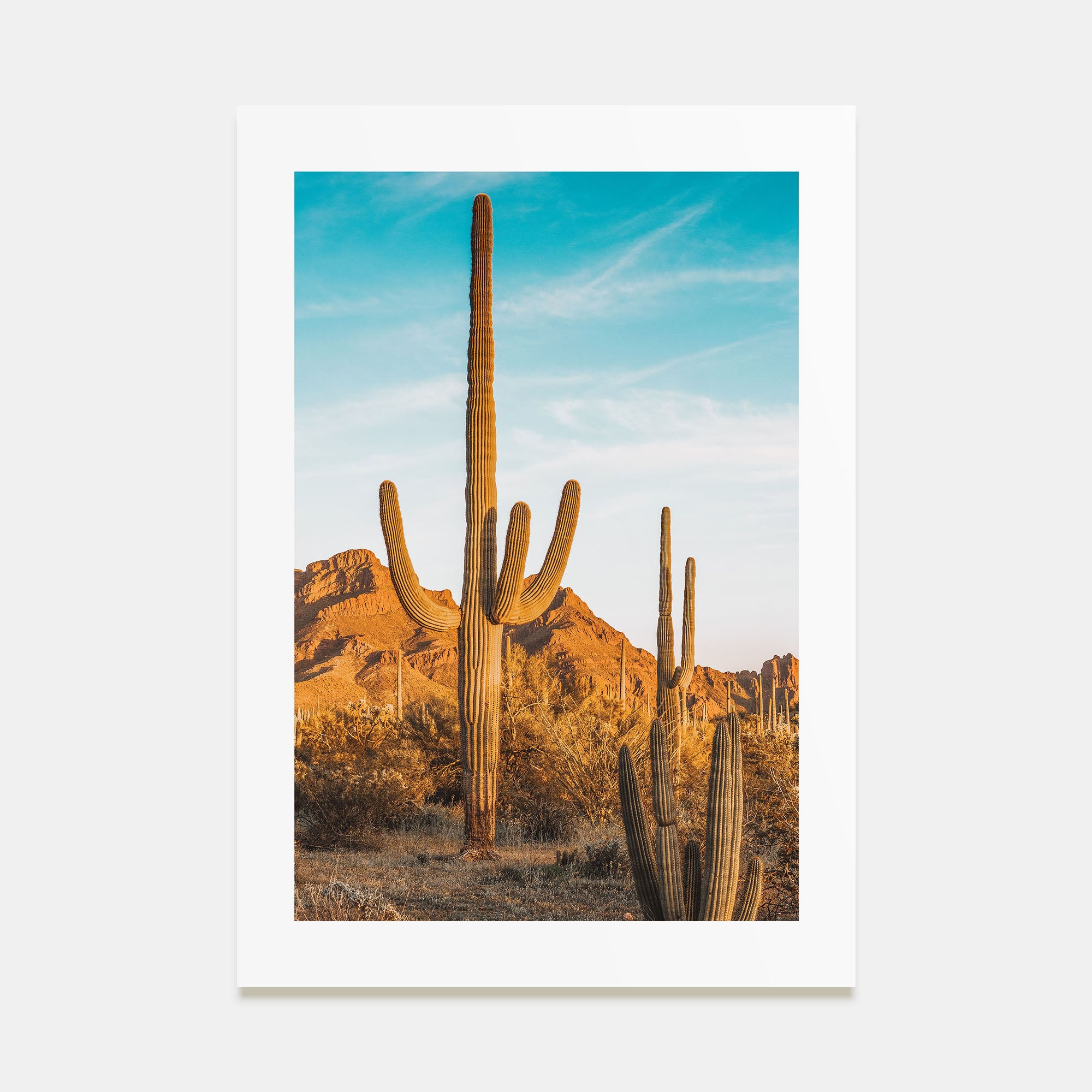 Saguaro National Park Photo Color No 1 Poster