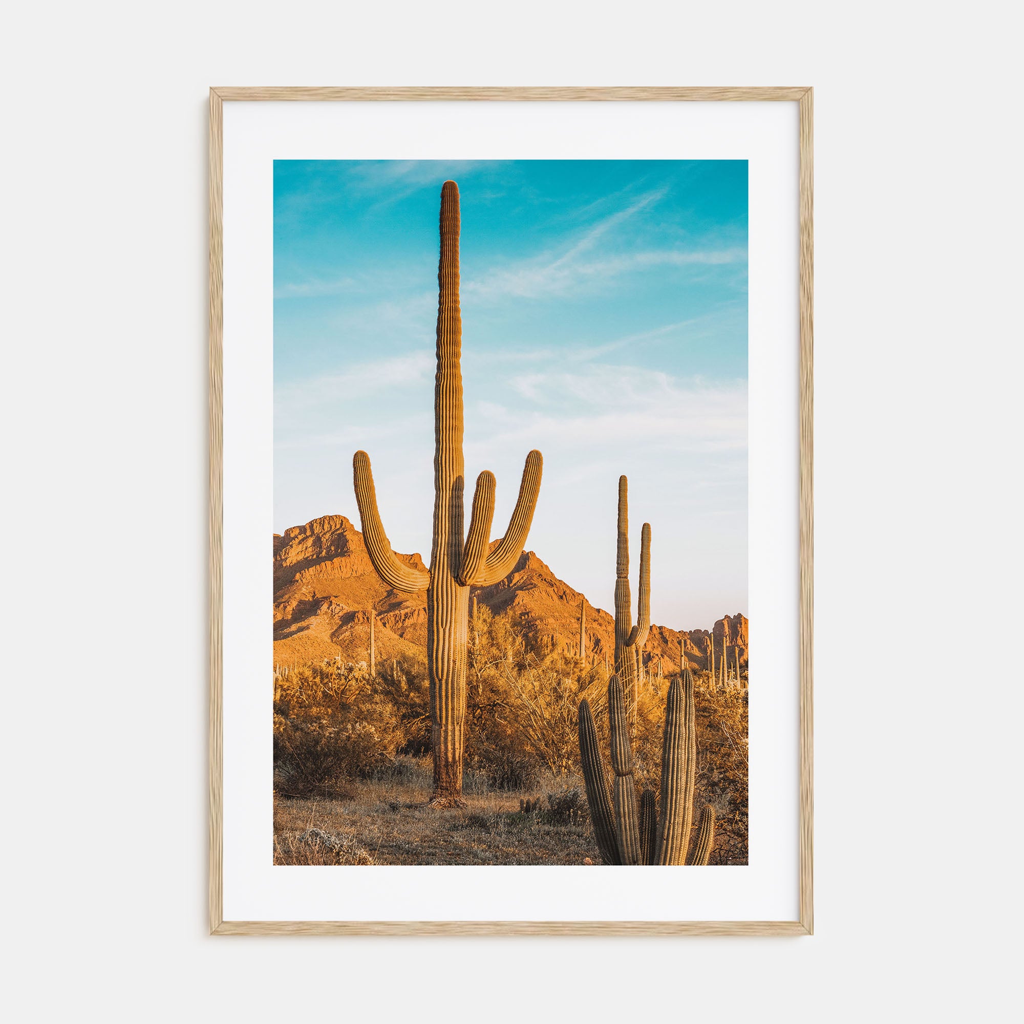 Saguaro National Park Photo Color No 1 Poster