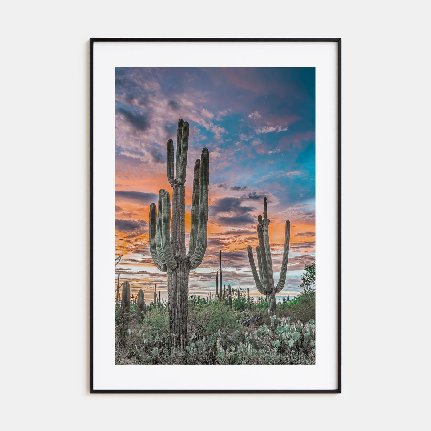Saguaro National Park Photo Color No 2 Poster