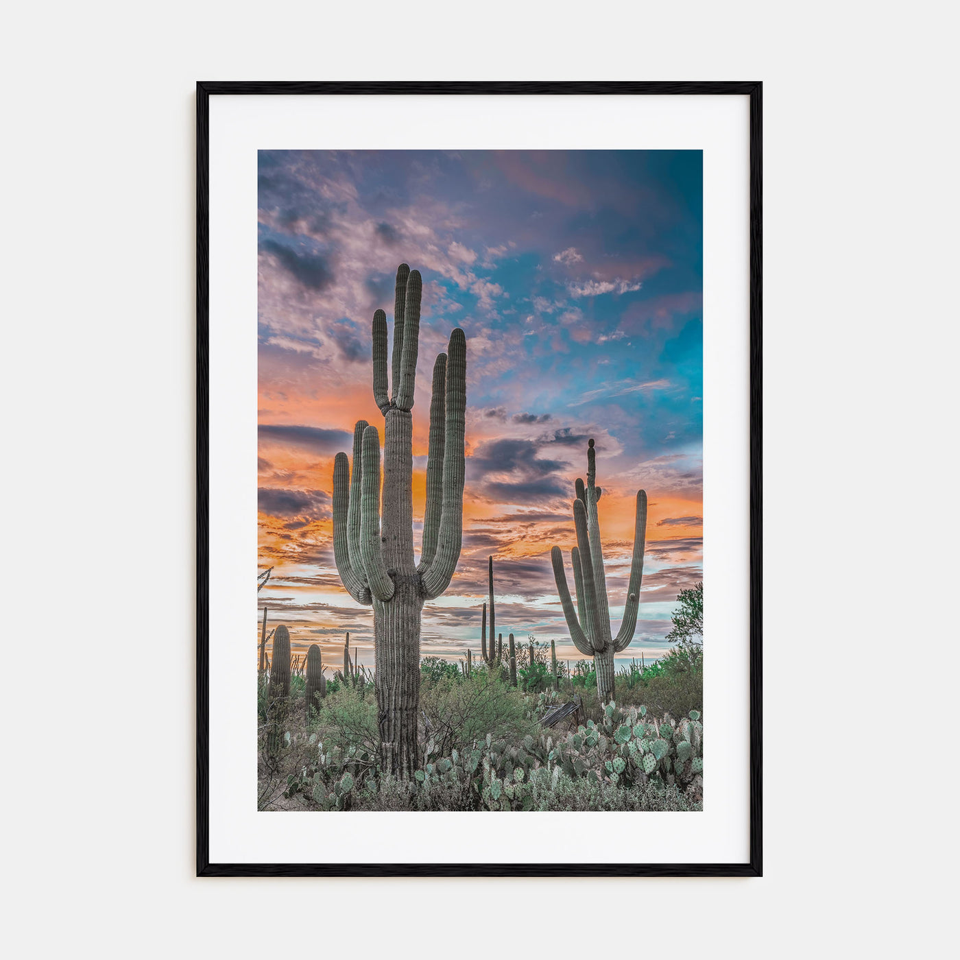 Saguaro National Park Photo Color No 2 Poster