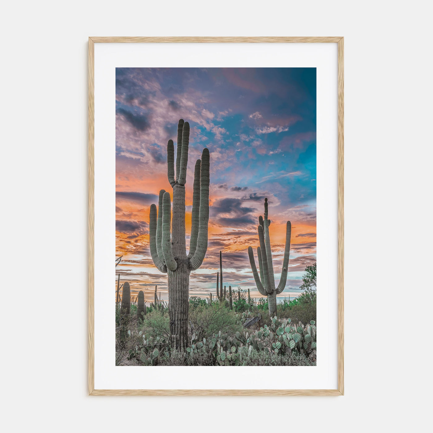 Saguaro National Park Photo Color No 2 Poster