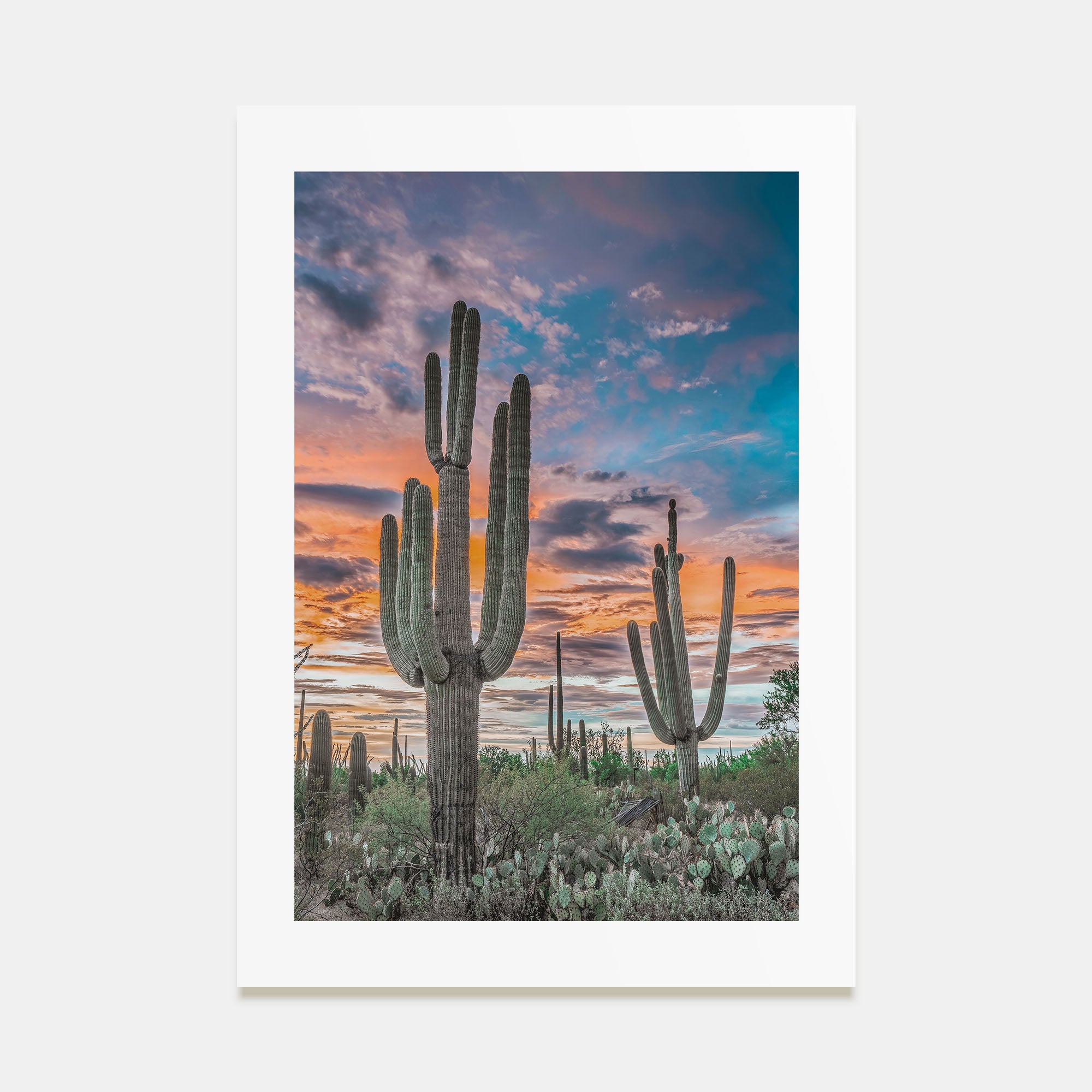 Saguaro National Park Photo Color No 2 Poster