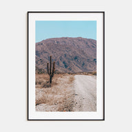 Saguaro National Park Photo Color No 3 Poster