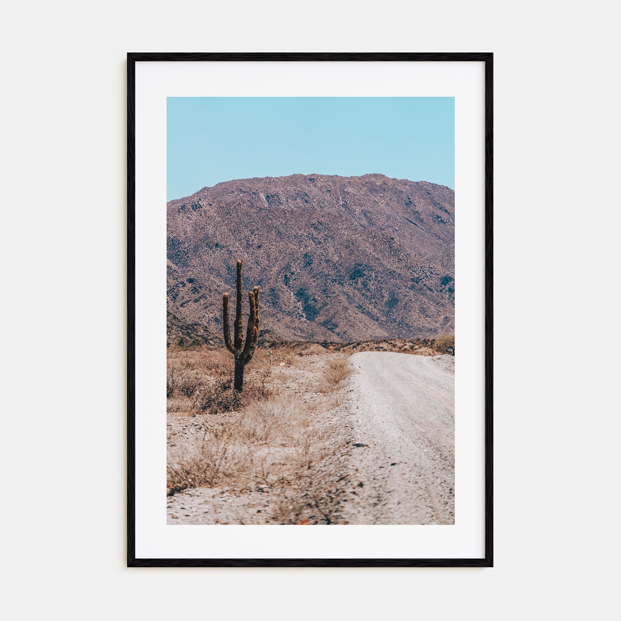 Saguaro National Park Photo Color No 3 Poster