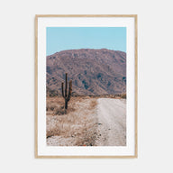 Saguaro National Park Photo Color No 3 Poster