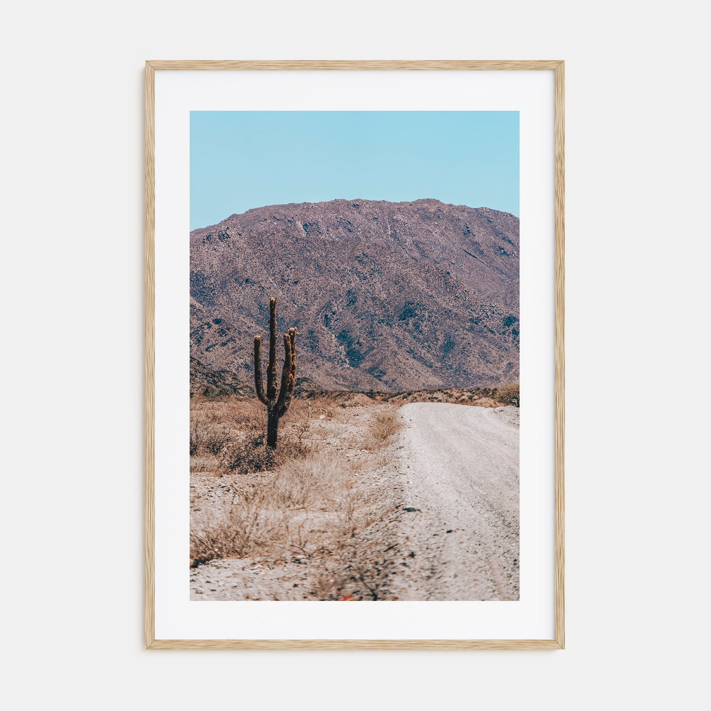 Saguaro National Park Photo Color No 3 Poster