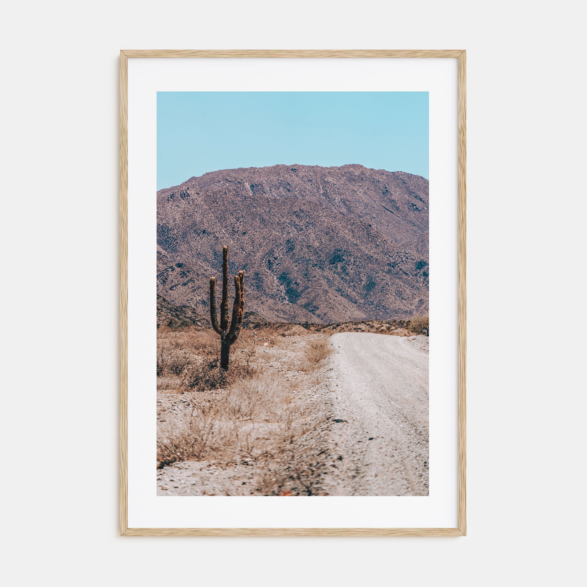 Saguaro National Park Photo Color No 3 Poster