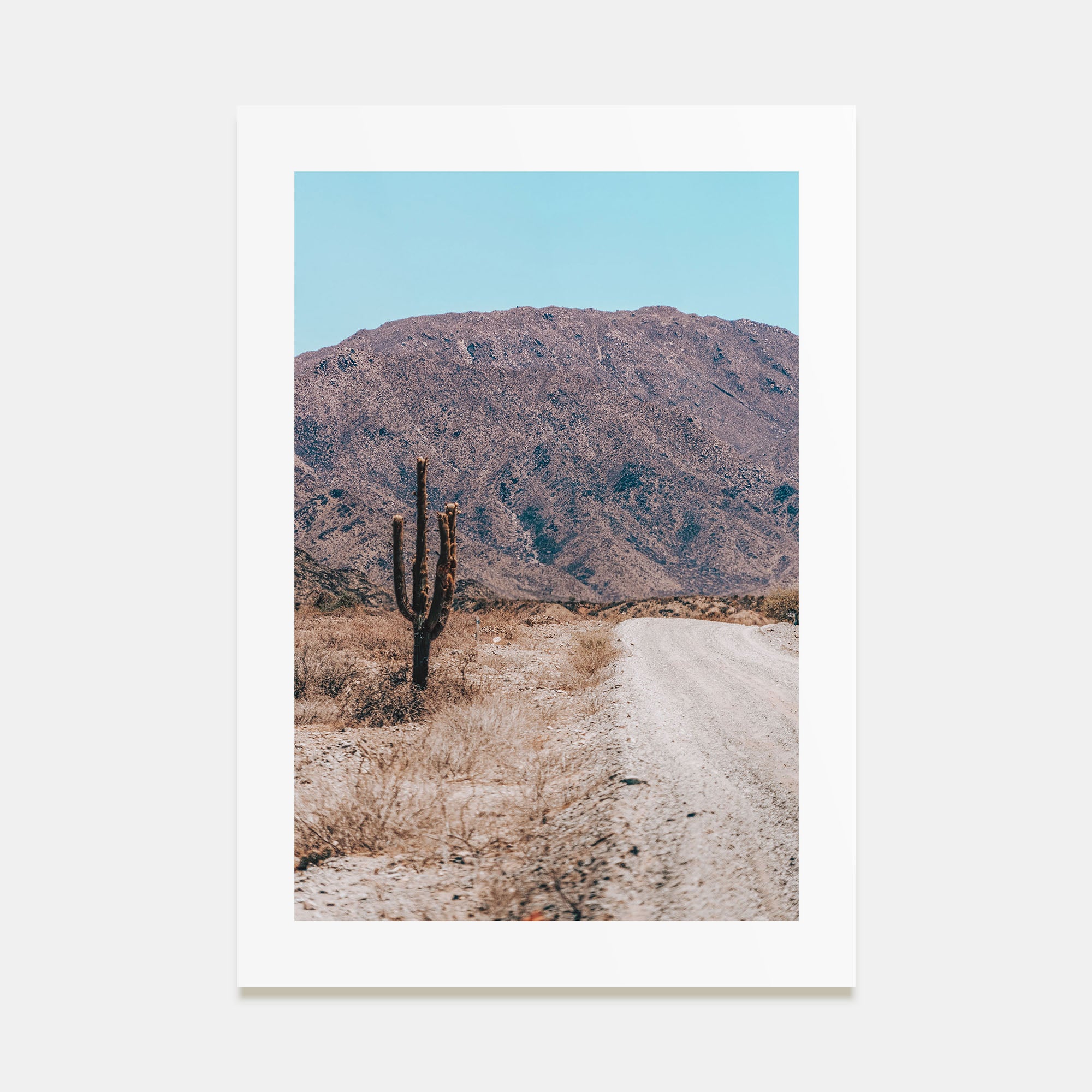 Saguaro National Park Photo Color No 3 Poster