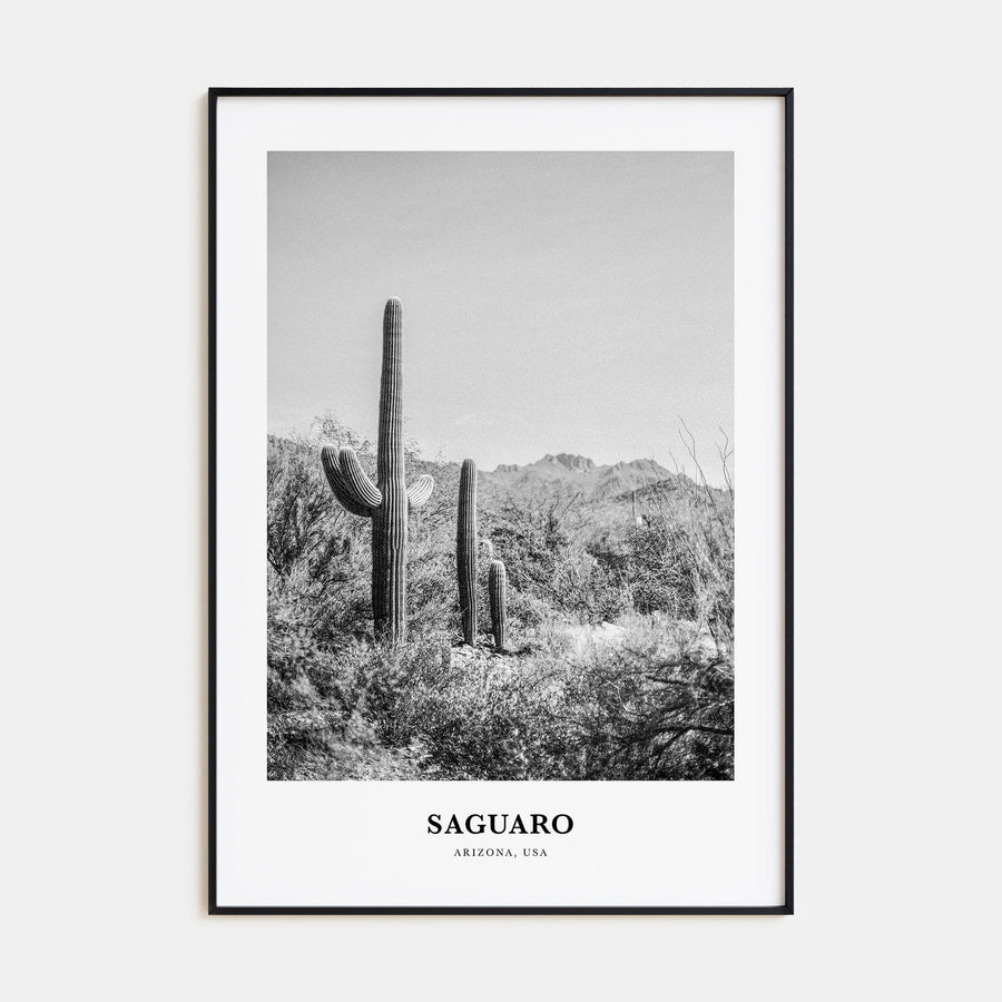 Saguaro National Park Portrait B&W Poster