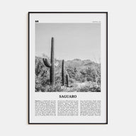 Saguaro National Park Travel B&W Poster