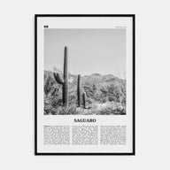 Saguaro National Park Travel B&W Poster