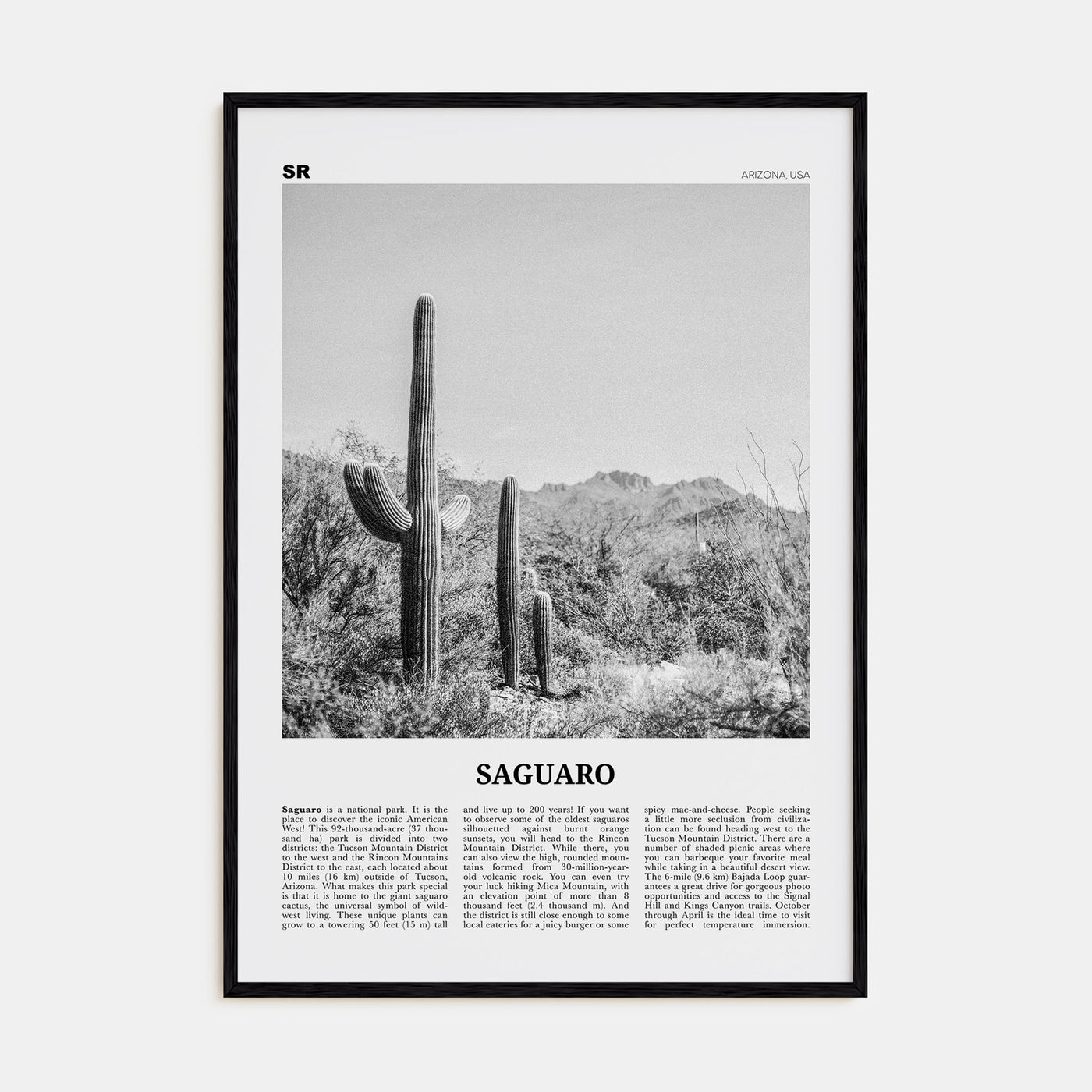 Saguaro National Park Travel B&W Poster