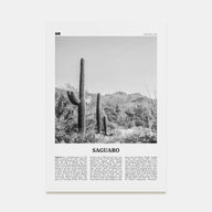 Saguaro National Park Travel B&W Poster