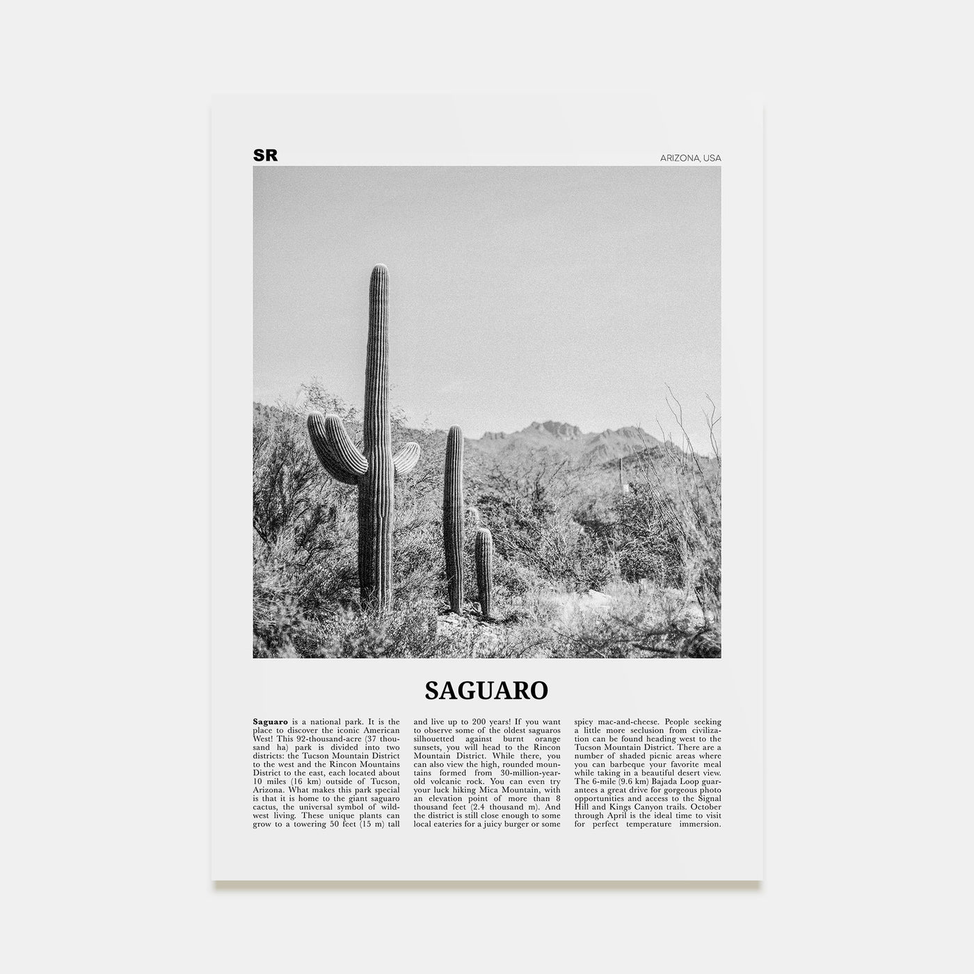 Saguaro National Park Travel B&W Poster