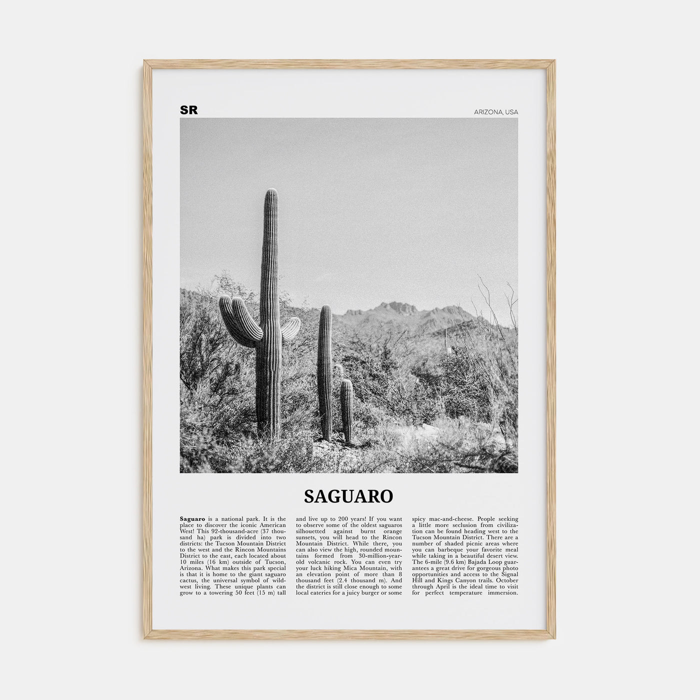 Saguaro National Park Travel B&W Poster