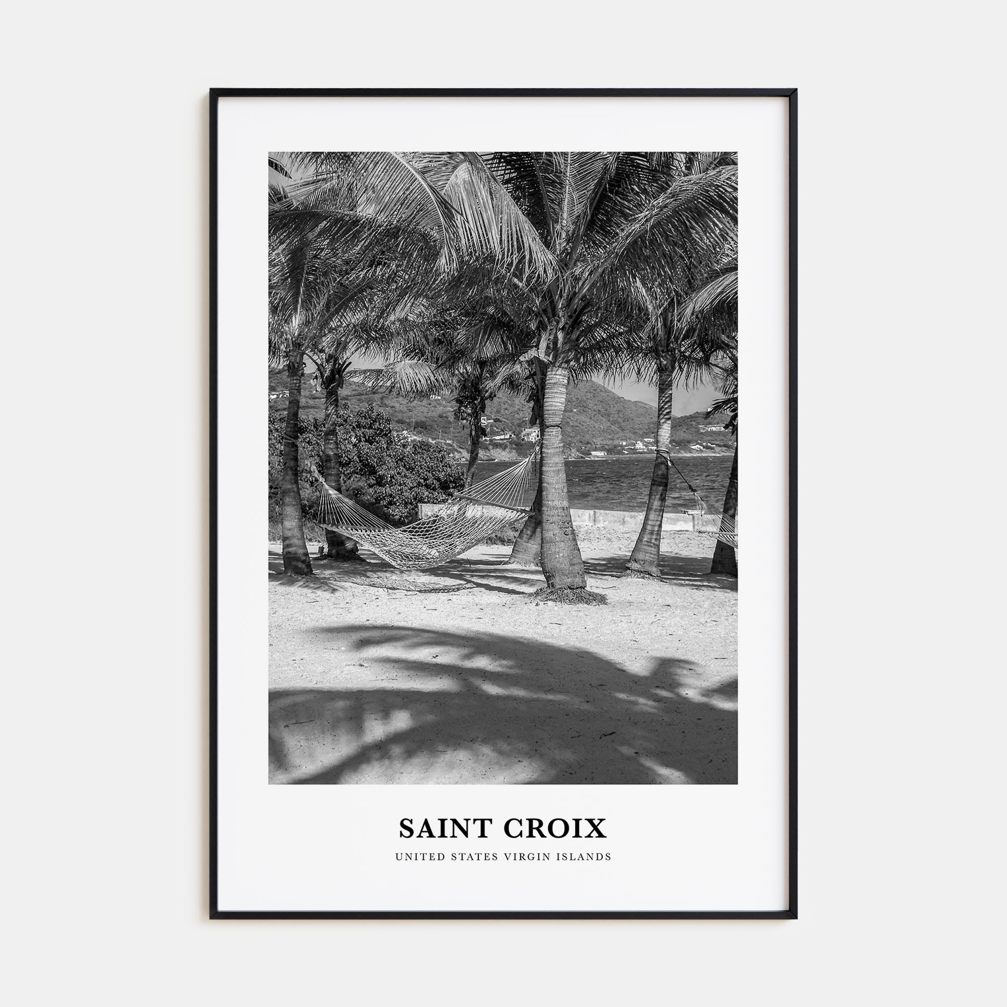 Saint Croix Portrait B&W Poster