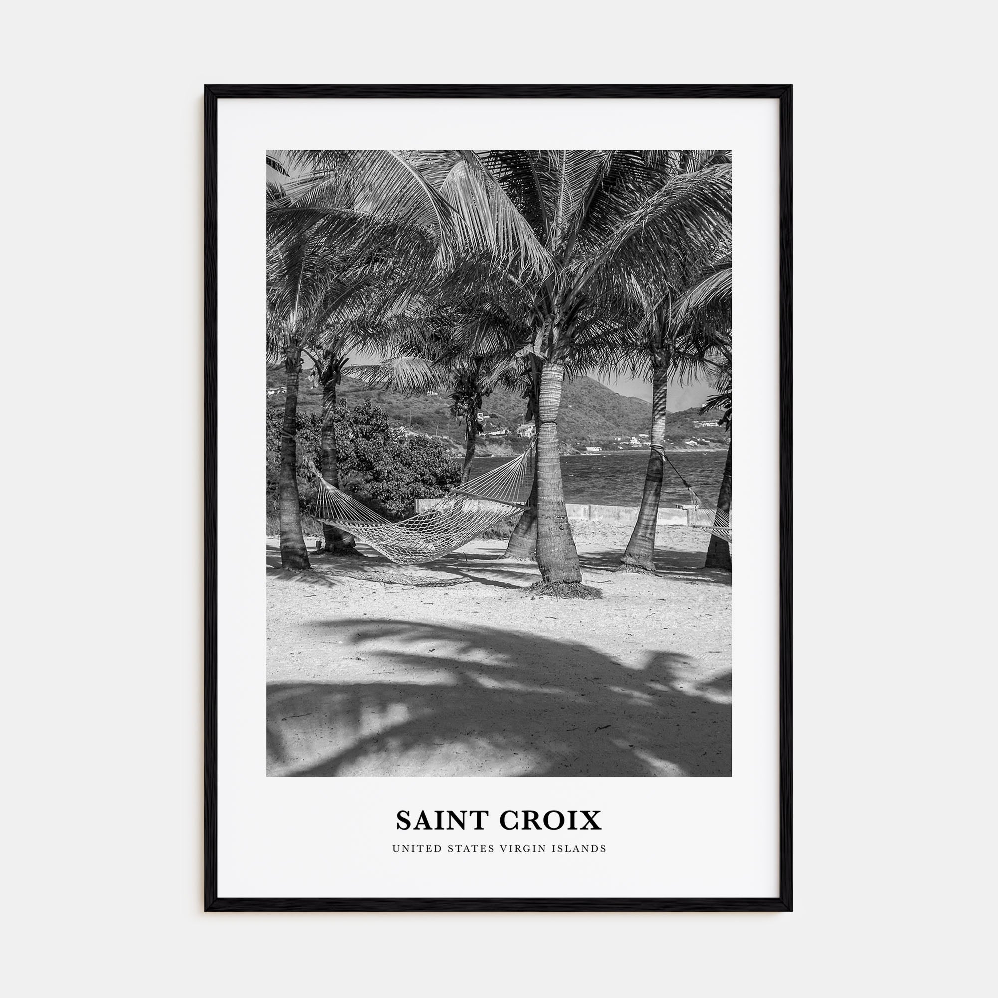 Saint Croix Portrait B&W Poster