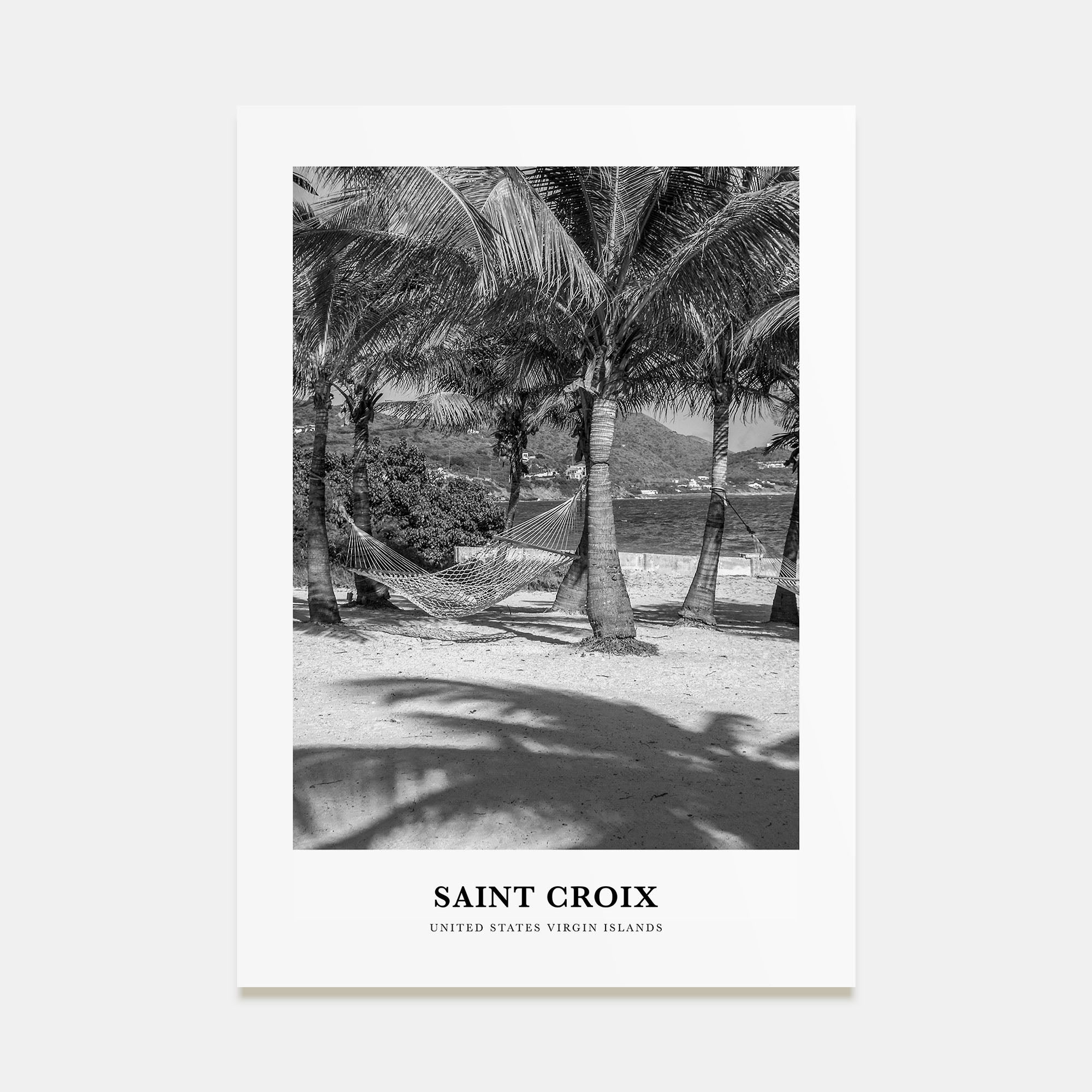 Saint Croix Portrait B&W Poster