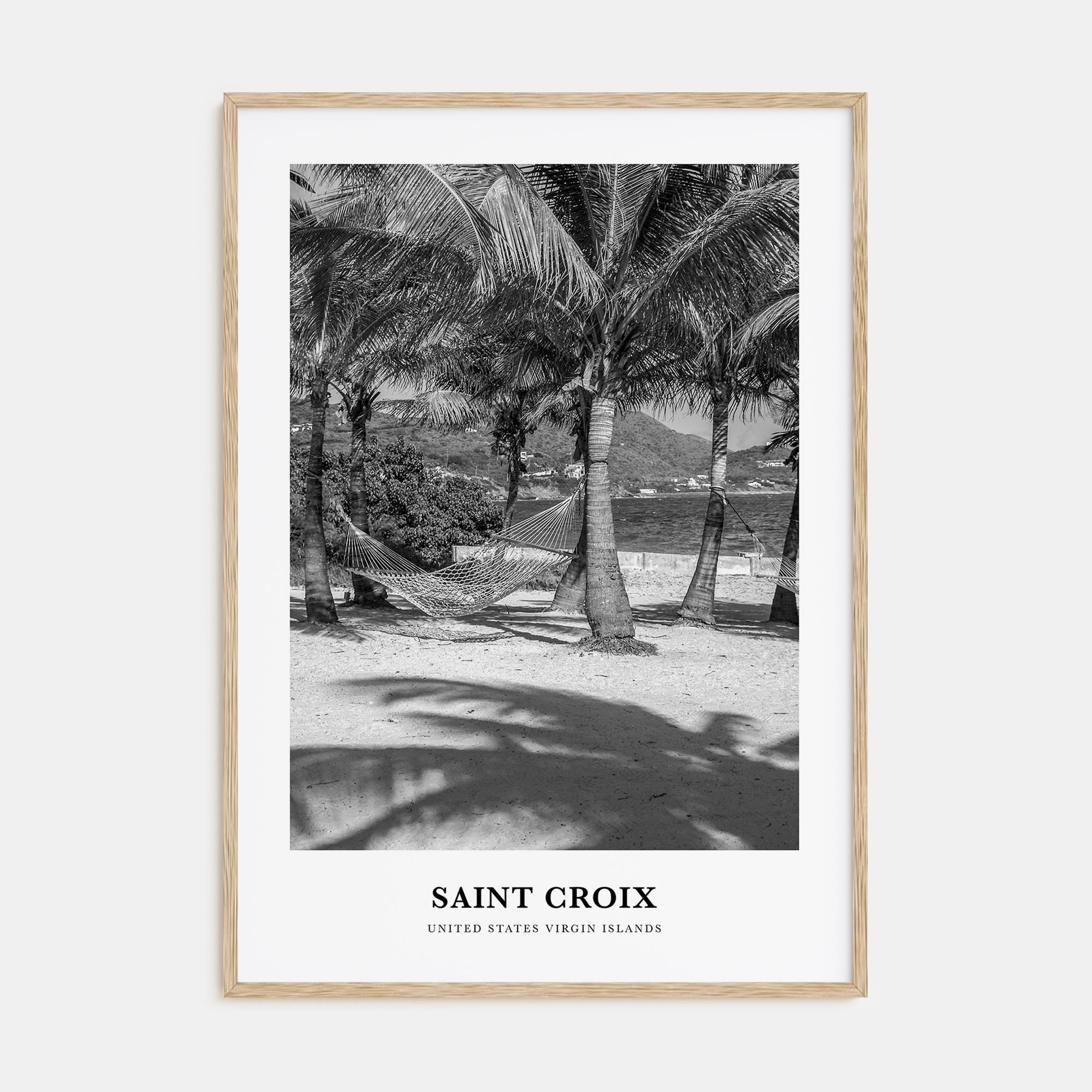 Saint Croix Portrait B&W Poster