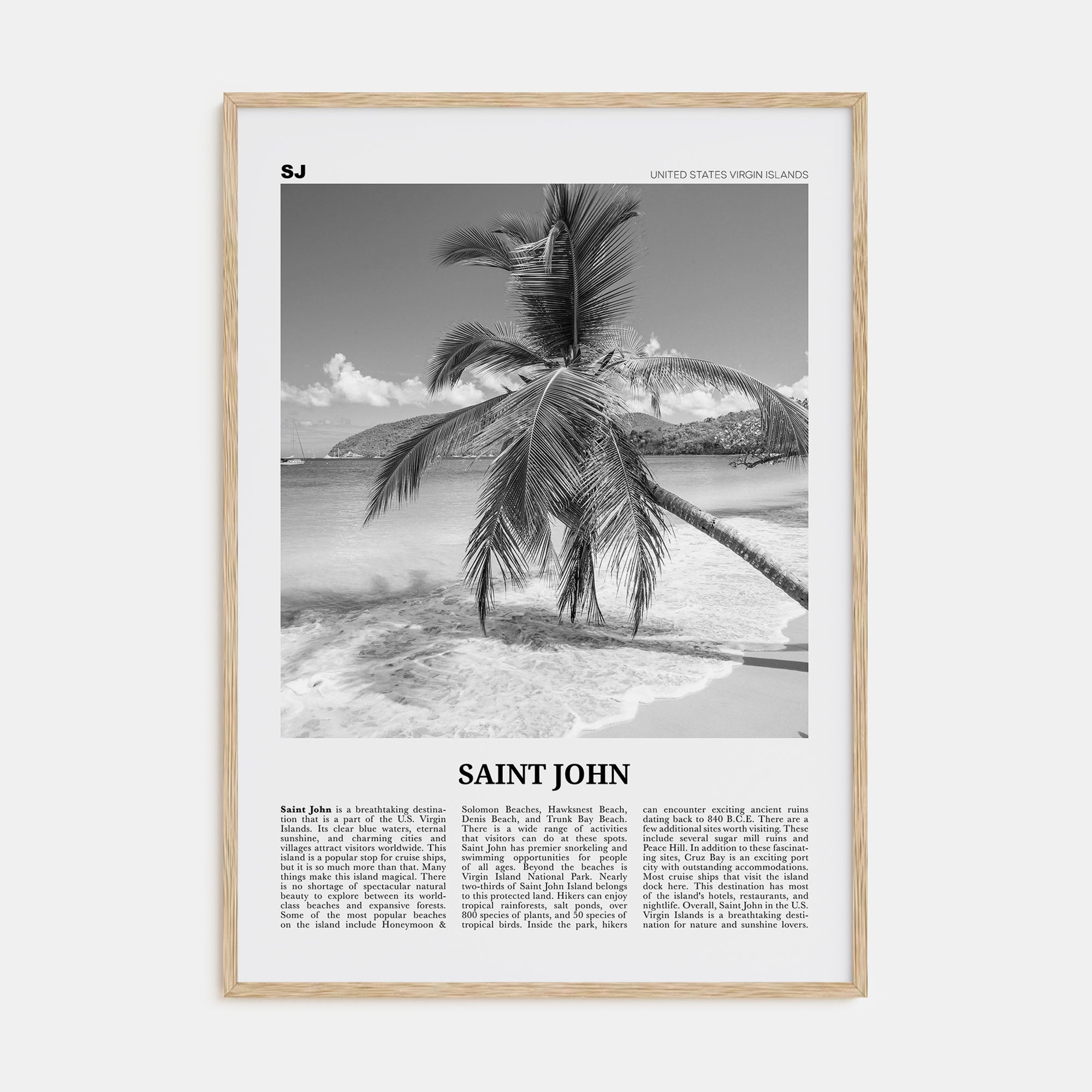 Saint John Travel B&W Poster
