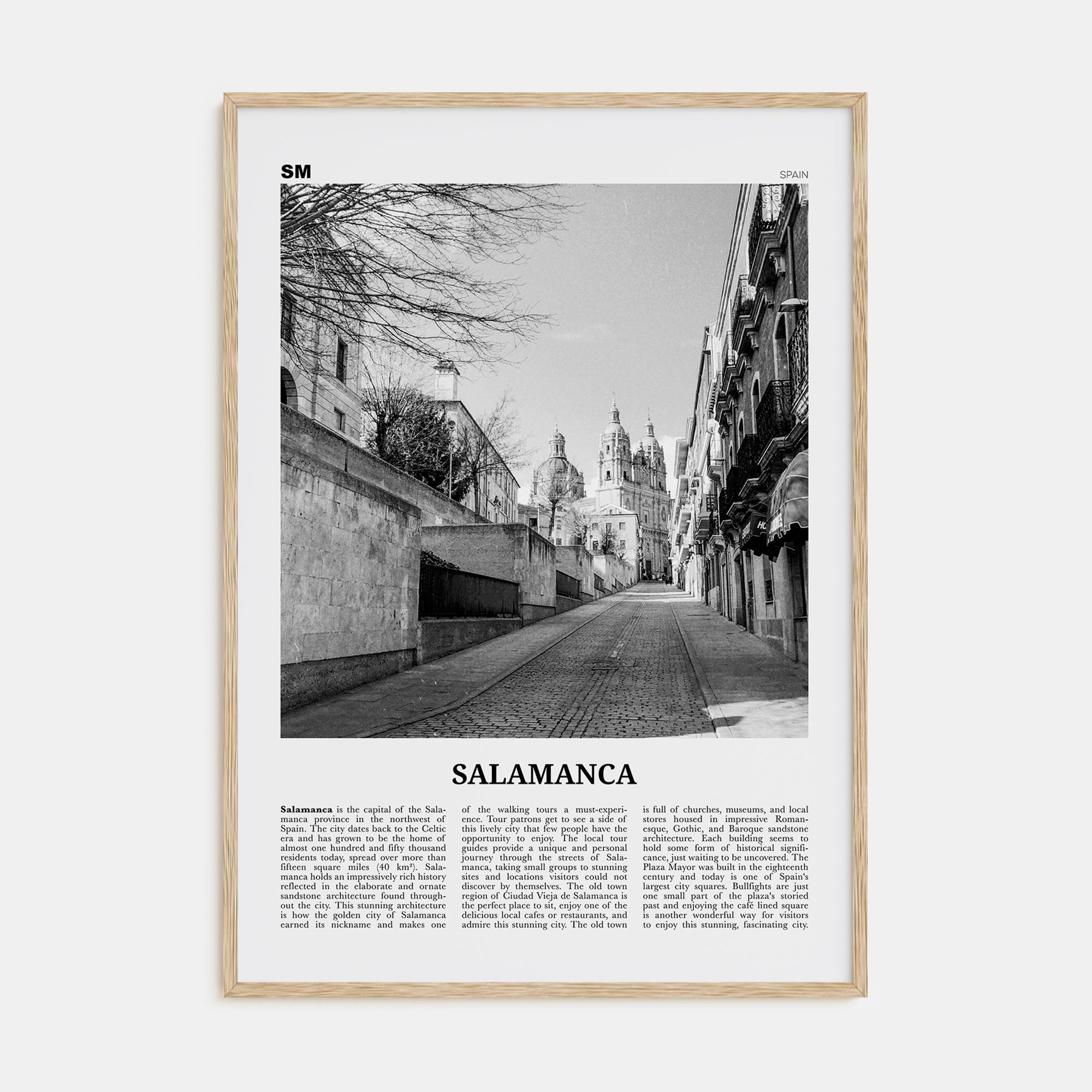 Salamanca Travel B&W Poster