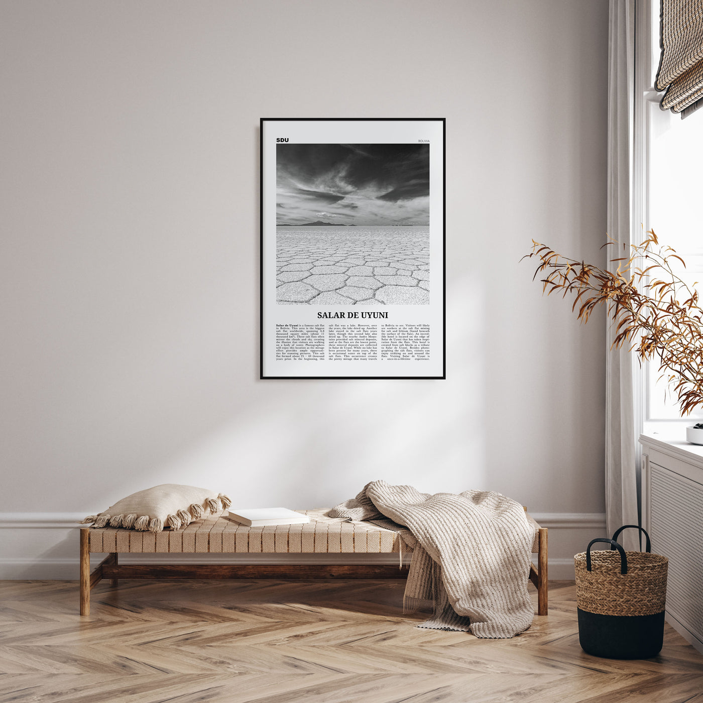 Salar de Uyuni Travel B&W Poster