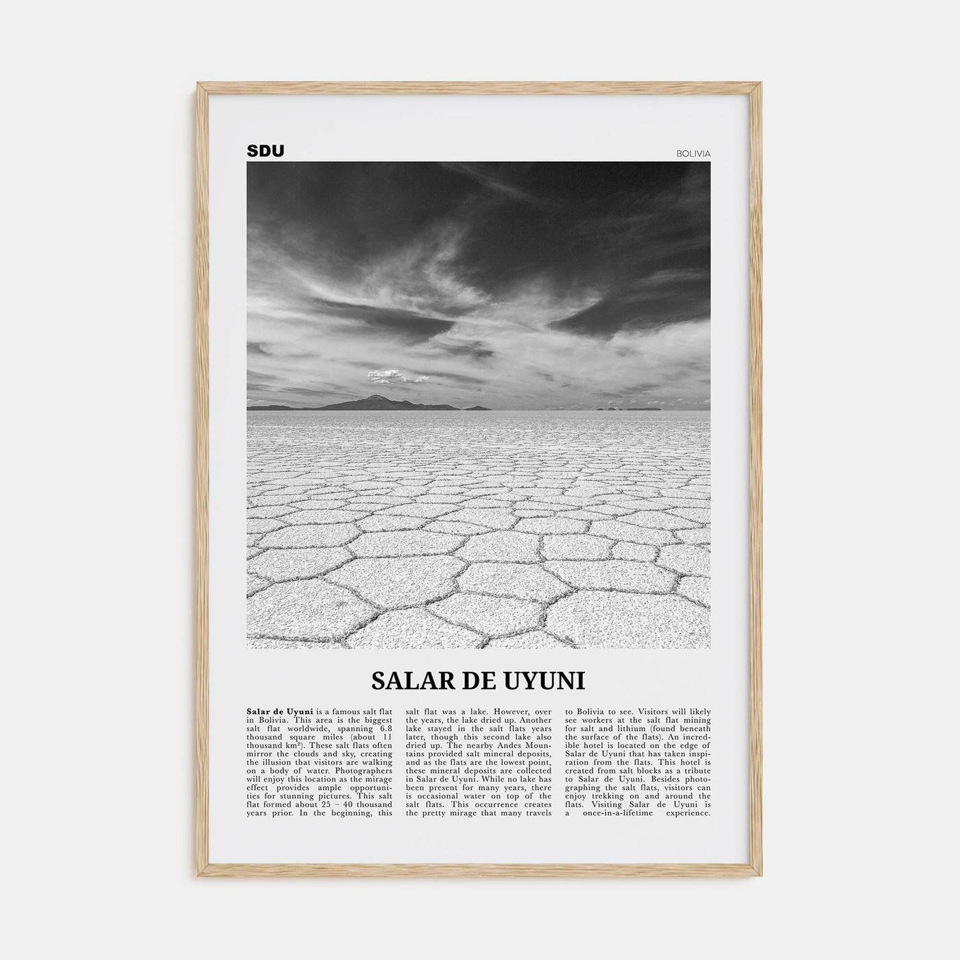 Salar de Uyuni Travel B&W Poster
