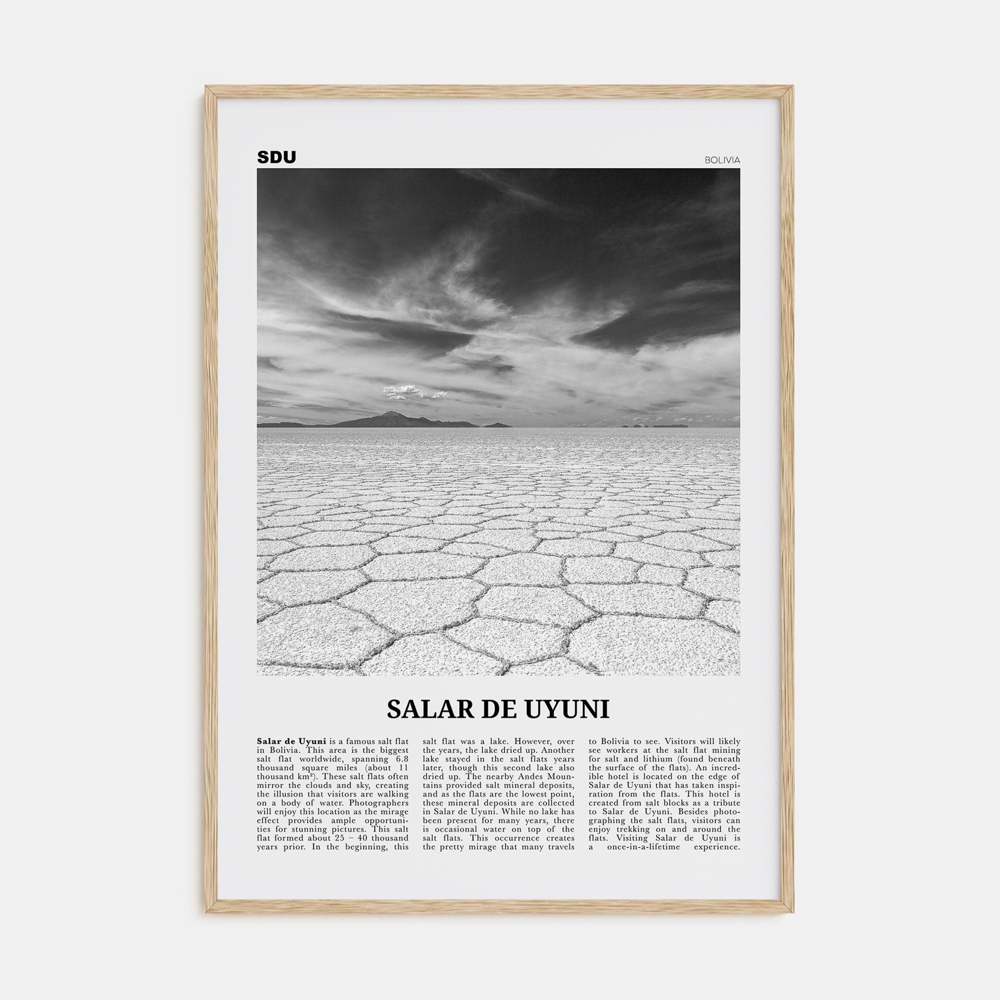 Salar de Uyuni Travel B&W Poster